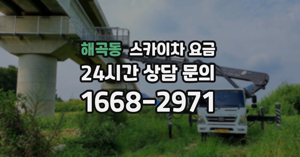 해곡동 스카이차 요금