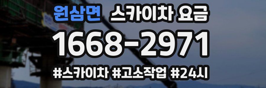 원삼면 스카이차 요금