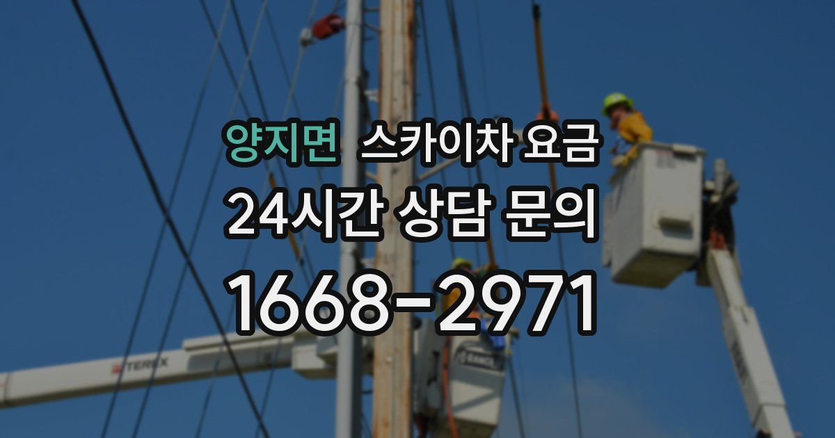 양지면 스카이차 요금