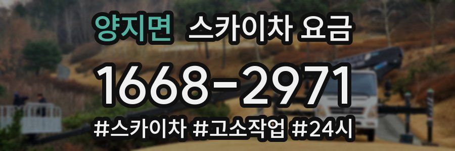 양지면 스카이차 요금