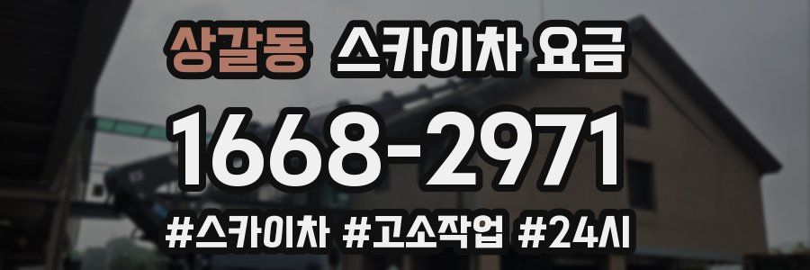 상갈동 스카이차 요금