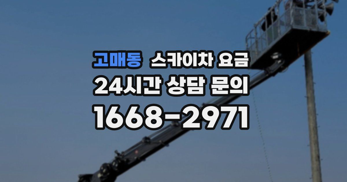 고매동 스카이차 요금