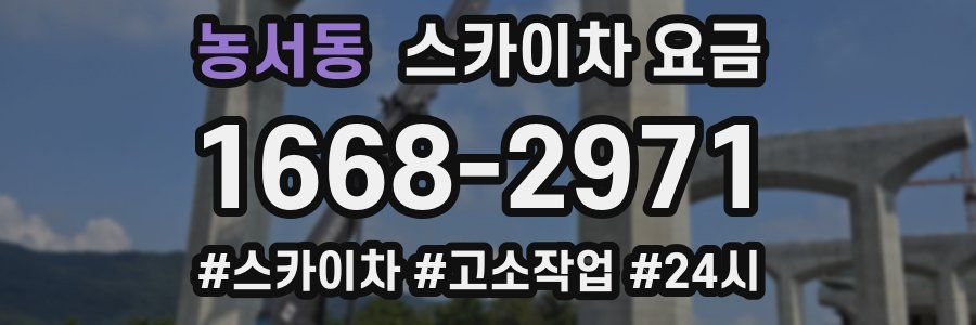농서동 스카이차 요금