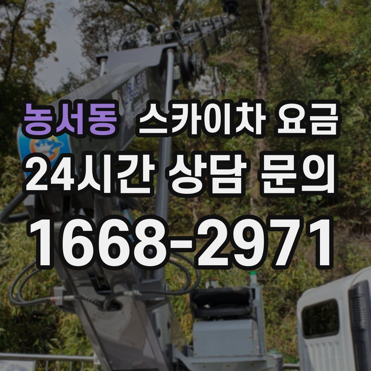 농서동 스카이차 요금