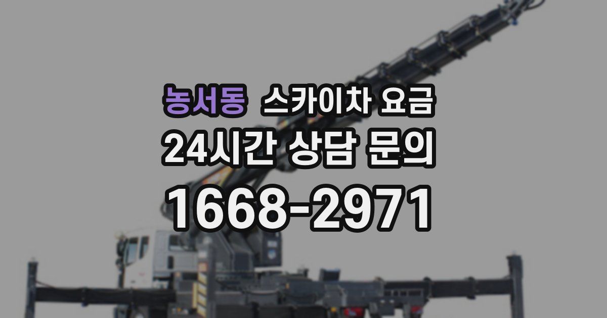 농서동 스카이차 요금