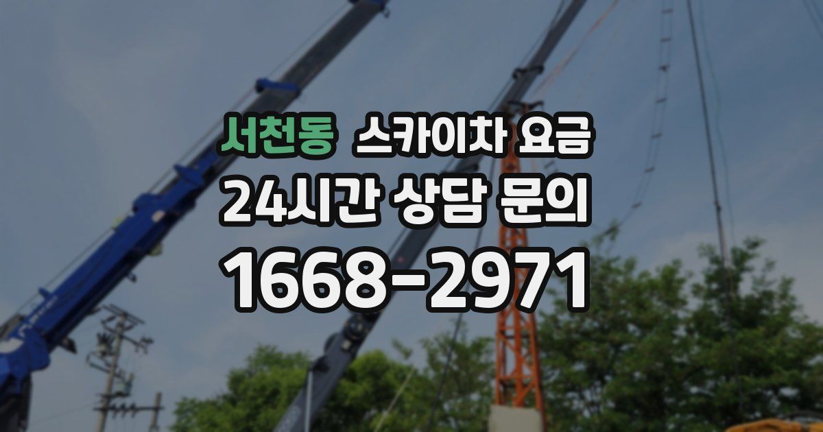 서천동 스카이차 요금