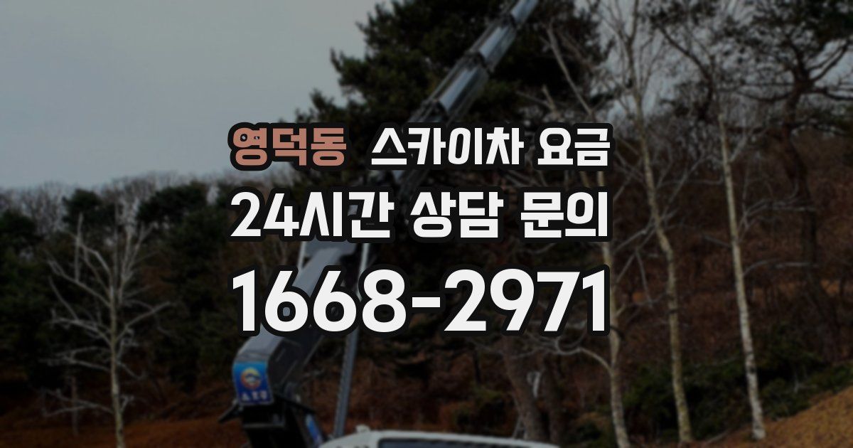 영덕동 스카이차 요금