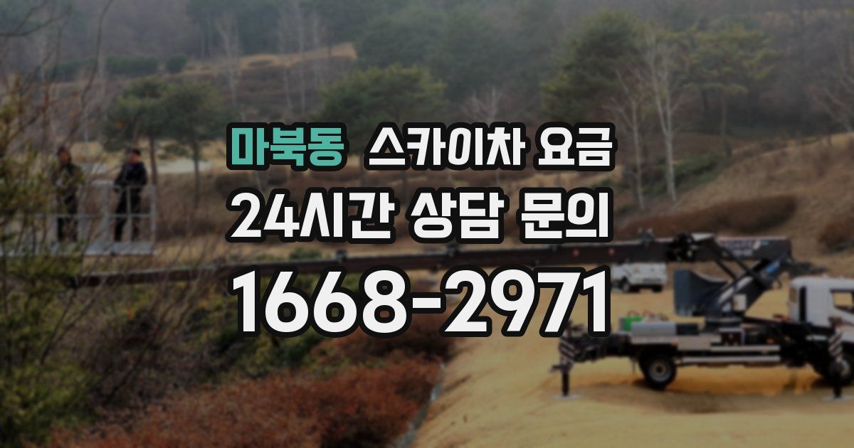 마북동 스카이차 요금
