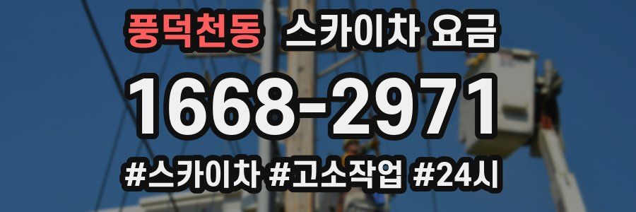 풍덕천동 스카이차 요금