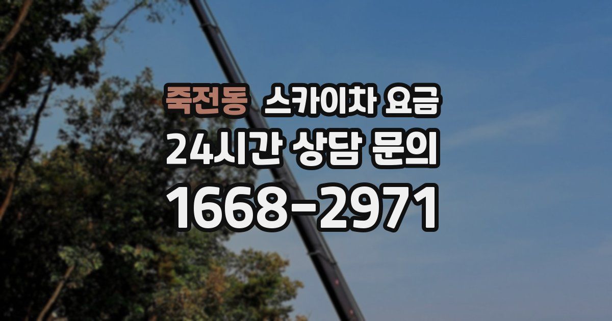 죽전동 스카이차 요금