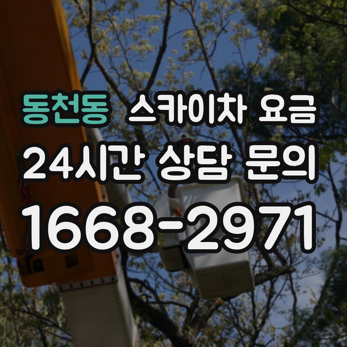 동천동 스카이차 요금