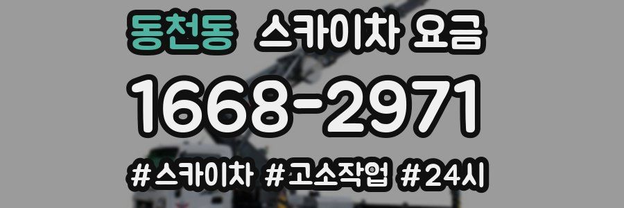 동천동 스카이차 요금