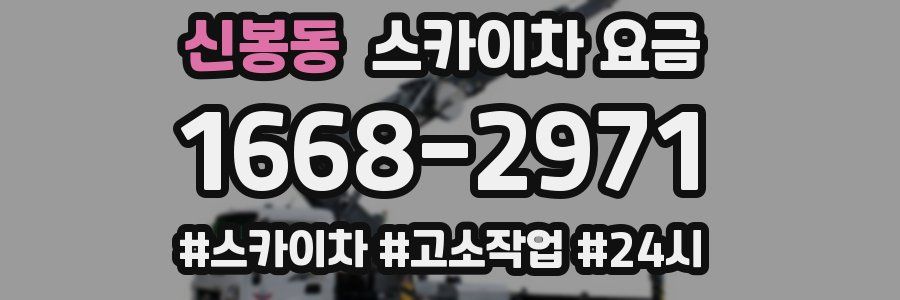 신봉동 스카이차 요금