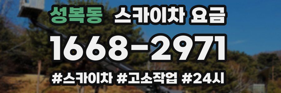 성복동 스카이차 요금