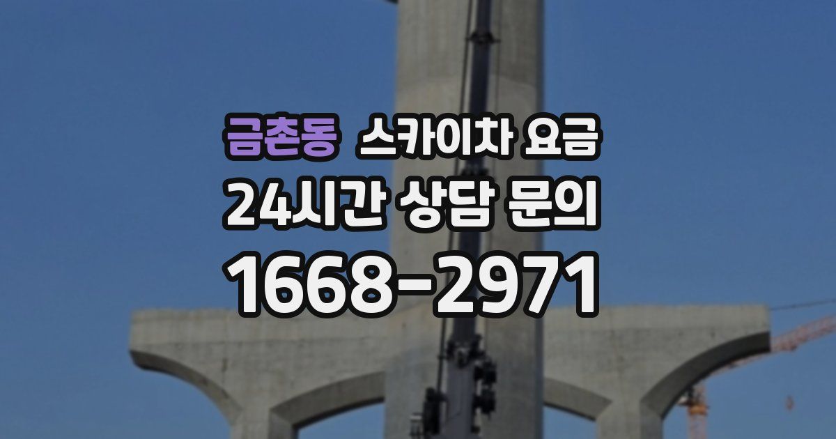 금촌동 스카이차 요금