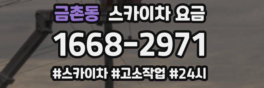 금촌동 스카이차 요금