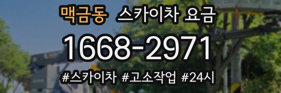 맥금동 스카이차 요금