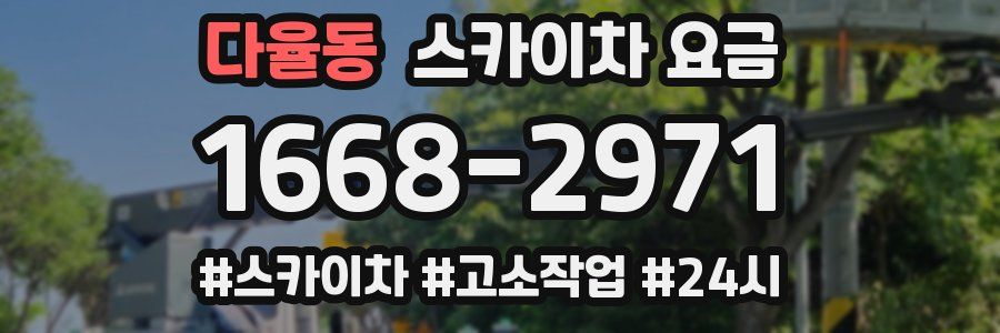 다율동 스카이차 요금