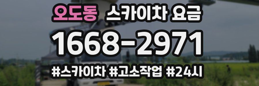 오도동 스카이차 요금