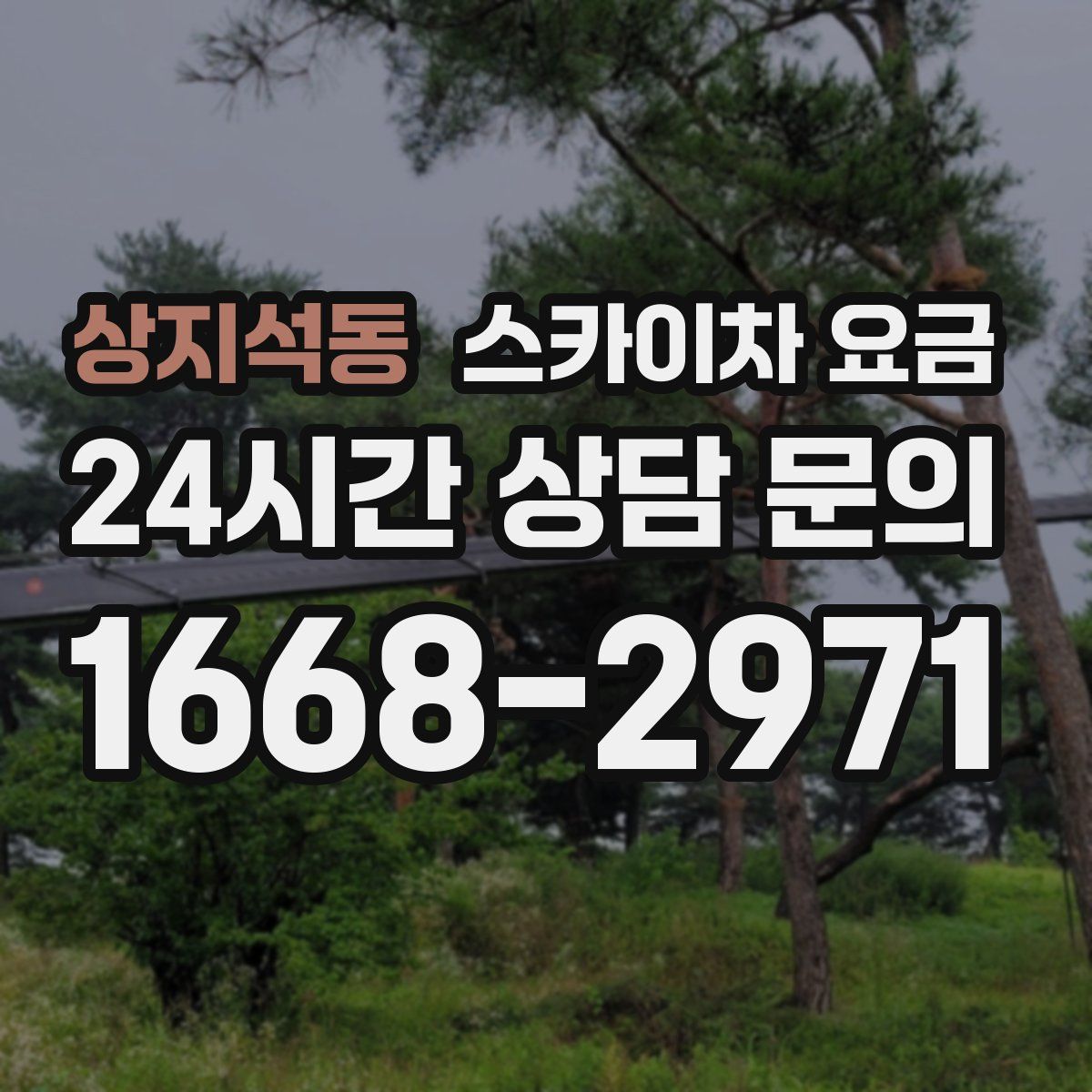 상지석동 스카이차 요금