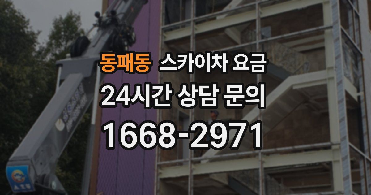 동패동 스카이차 요금