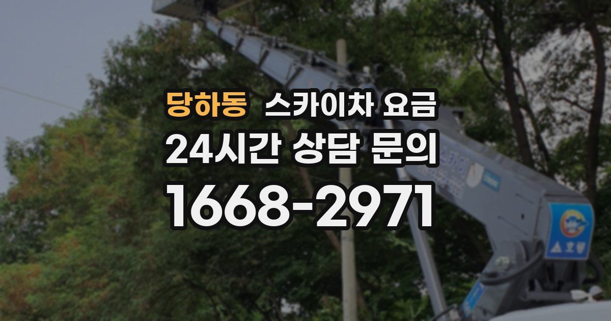 당하동 스카이차 요금