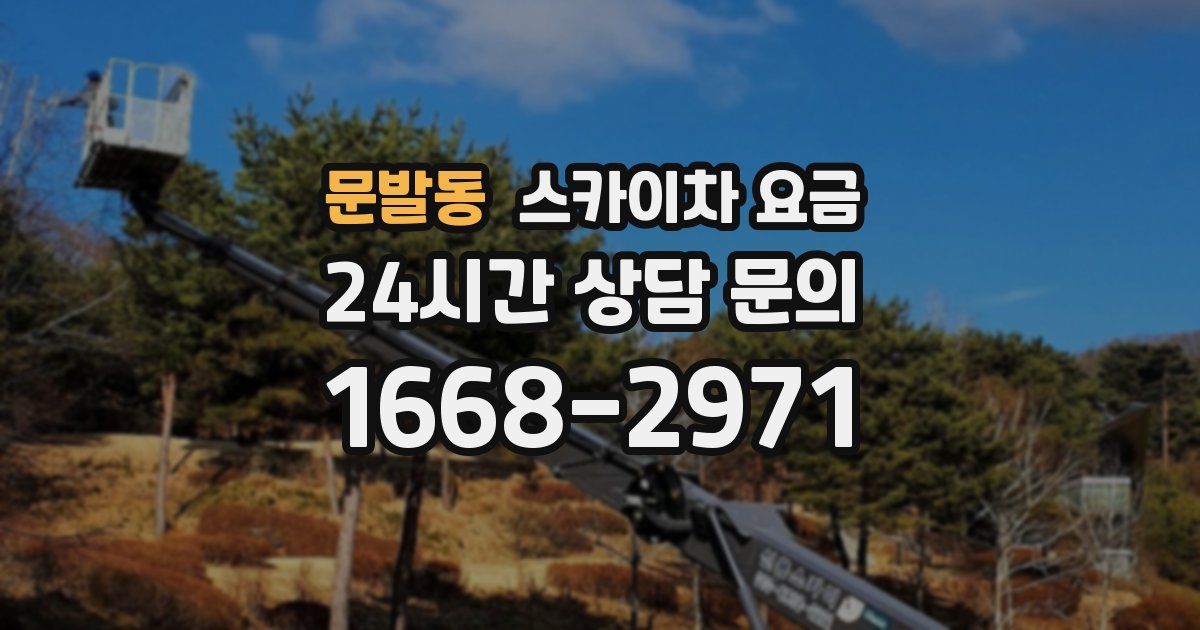 문발동 스카이차 요금