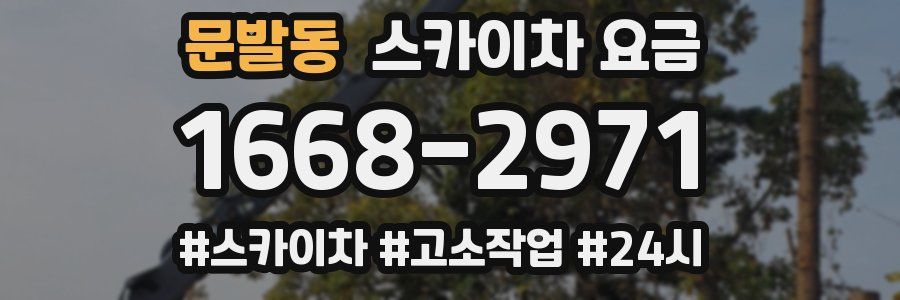 문발동 스카이차 요금