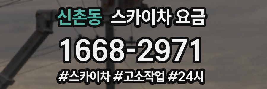 신촌동 스카이차 요금
