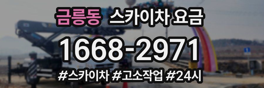 금릉동 스카이차 요금