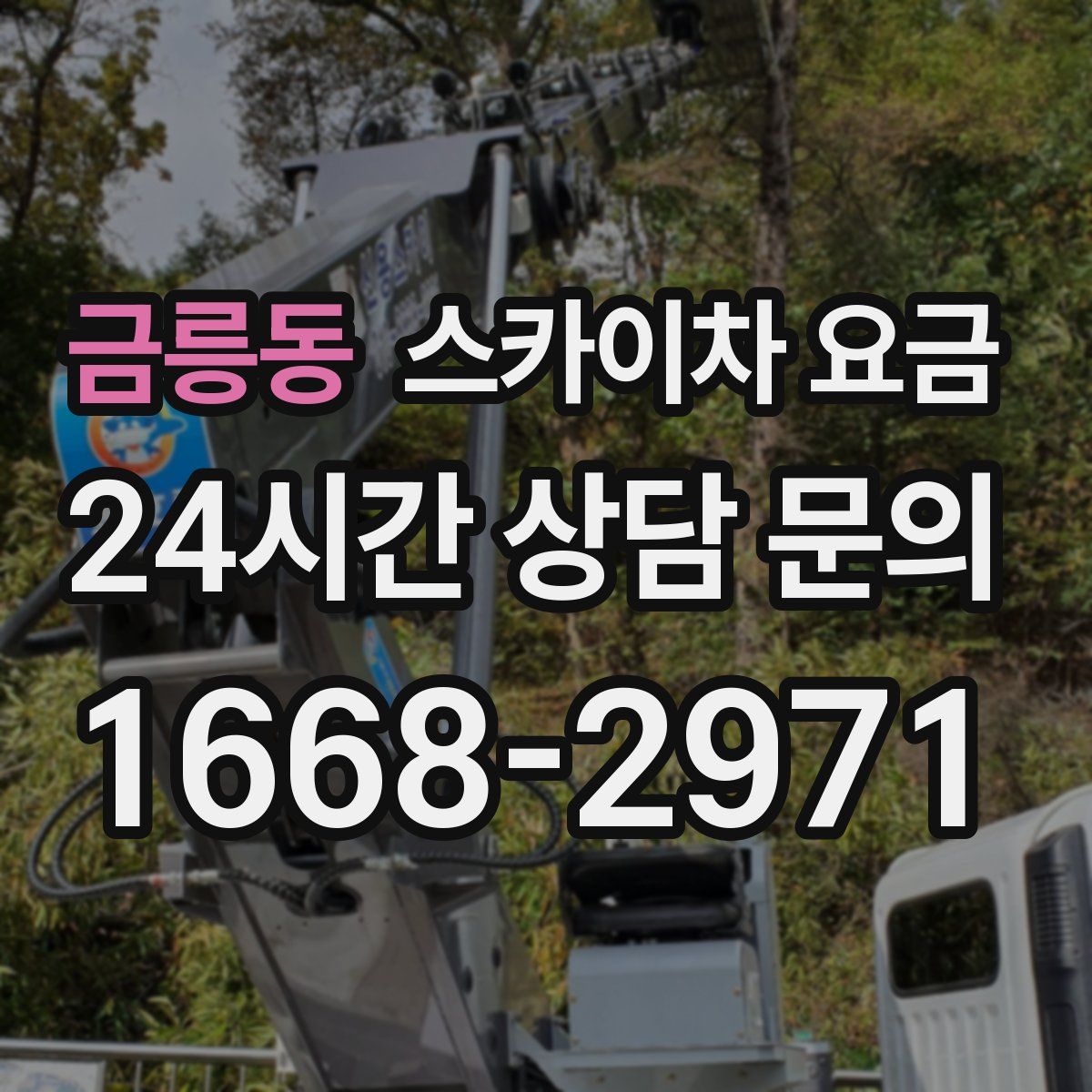 금릉동 스카이차 요금