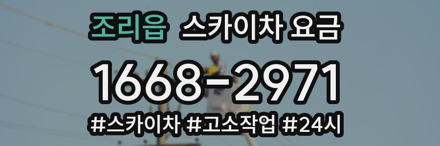 조리읍 스카이차 요금
