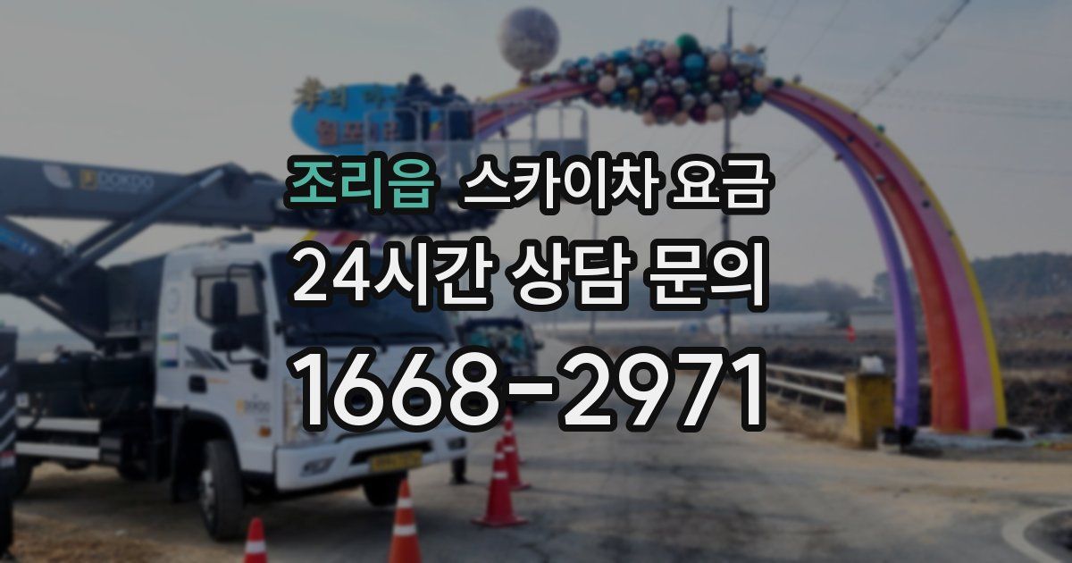 조리읍 스카이차 요금