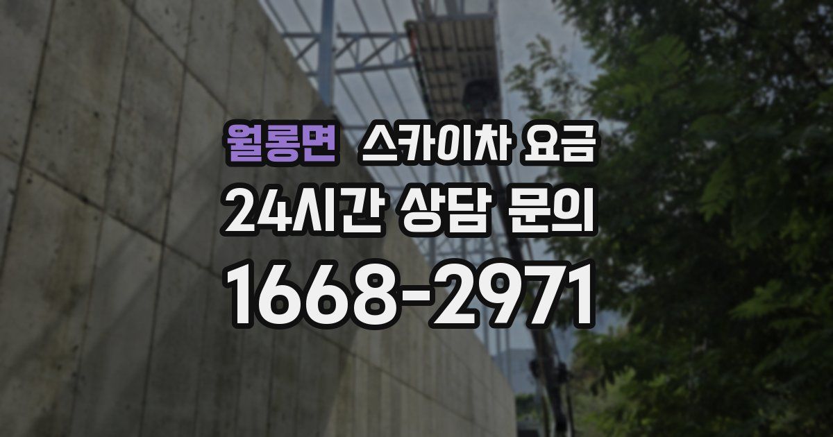 월롱면 스카이차 요금