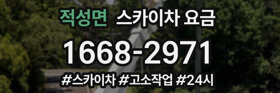 적성면 스카이차 요금