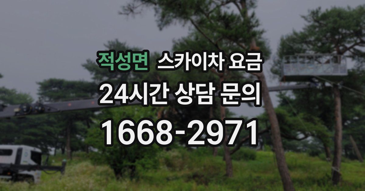 적성면 스카이차 요금