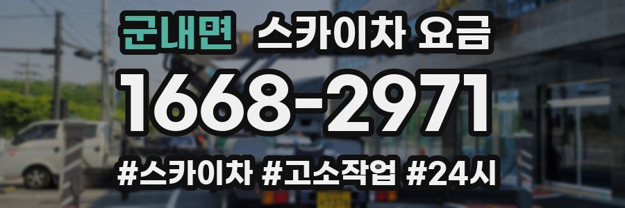 군내면 스카이차 요금