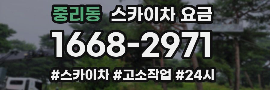 중리동 스카이차 요금