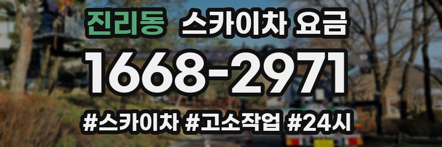 진리동 스카이차 요금