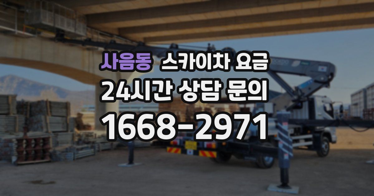 사음동 스카이차 요금