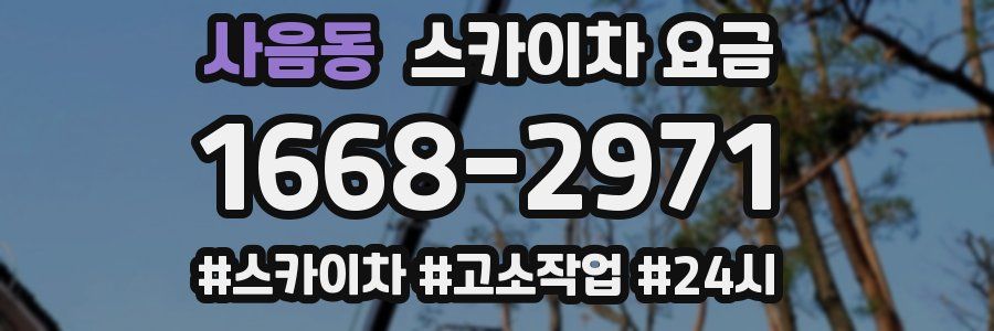 사음동 스카이차 요금