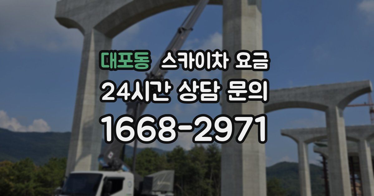 대포동 스카이차 요금