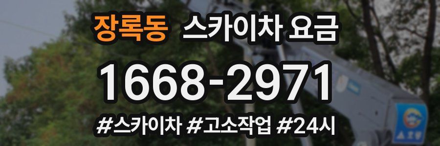 장록동 스카이차 요금