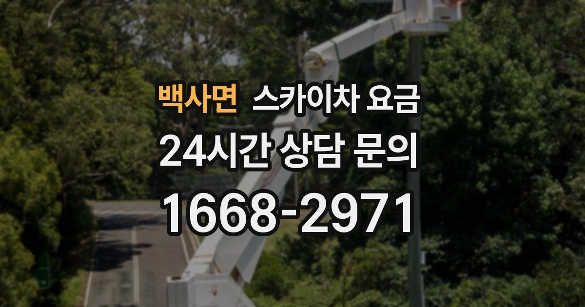 백사면 스카이차 요금