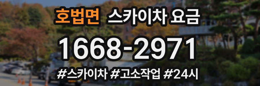 호법면 스카이차 요금