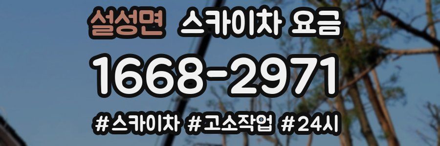 설성면 스카이차 요금