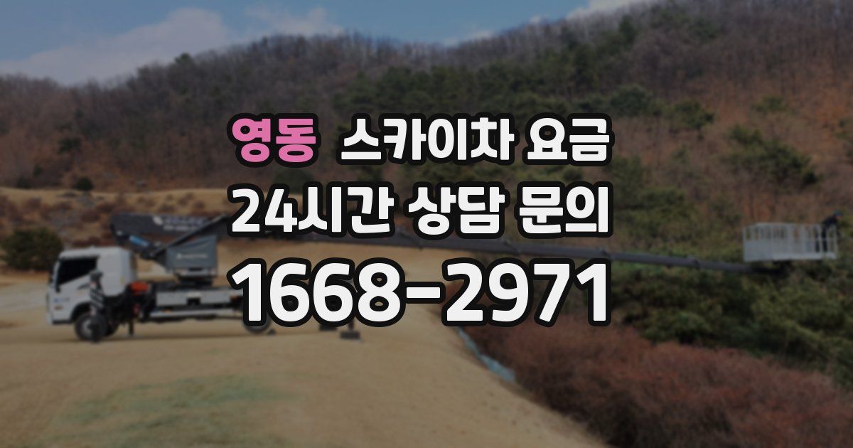 영동 스카이차 요금