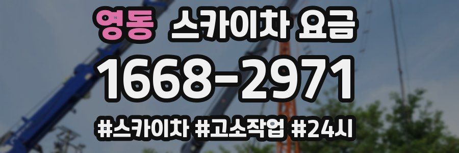 영동 스카이차 요금