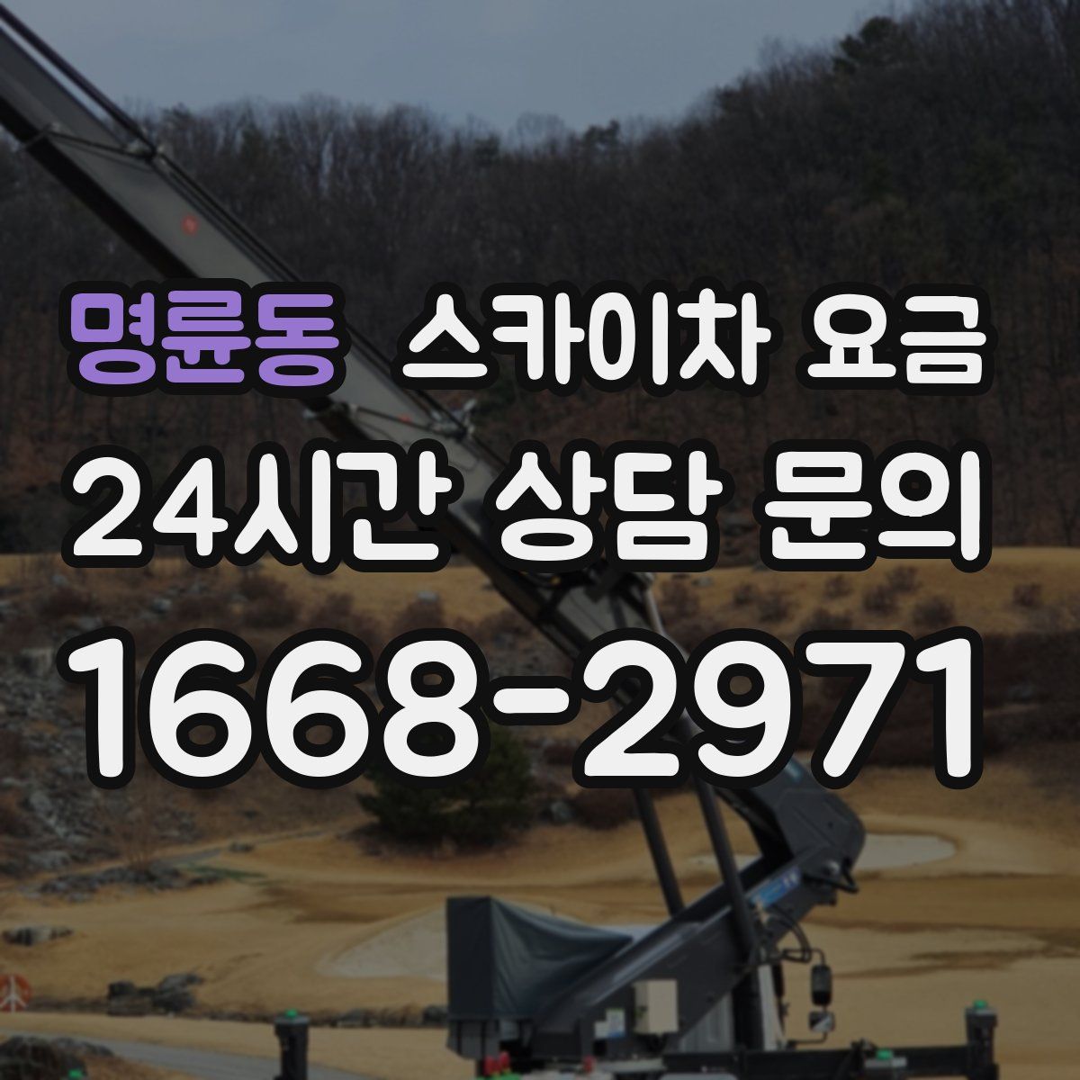 명륜동 스카이차 요금