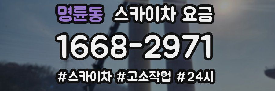 명륜동 스카이차 요금